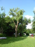 P1040652Campingplatz Zuruf.JPG