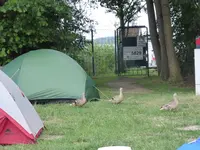 P1040694Campingplatz Silz.JPG