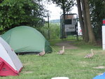 P1040694Campingplatz Silz.JPG