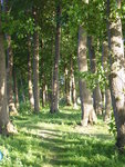 P1040721Campingplatz am Jabelsee.JPG