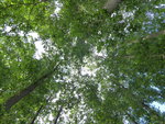 P1040739Campingplatz am Jabelsee.JPG