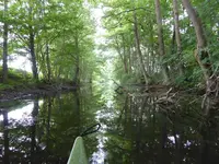 P1040743Kanal zum Loppiner See.JPG