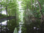 P1040743Kanal zum Loppiner See.JPG