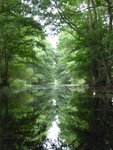 P1040746Kanal zum Loppiner See.JPG