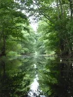 P1040746Kanal zum Loppiner See.JPG