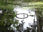 P1040751Kanal zum Loppiner See.JPG
