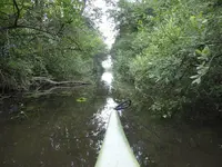 P1040759Kanal zum Loppiner See.JPG