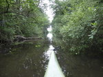 P1040759Kanal zum Loppiner See.JPG