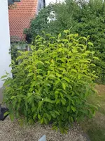 20210725_190608.webp