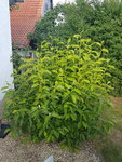 20210725_190608.jpg