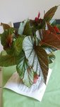 20210718_130308.jpg