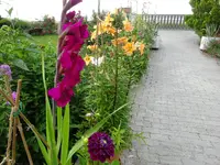 DSC01952.webp