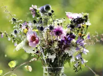 image001.webp