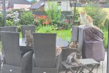 20210724_075952.webp
