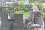 20210724_075952.jpg