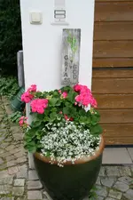Empfangskomitee 0321.webp