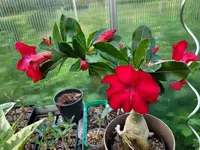 20210726_205122.webp