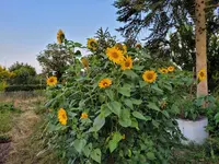 20210726_210324.webp