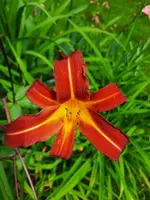 20210726_140958 - Kopie.webp