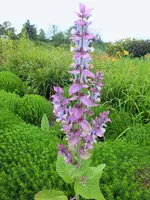 DSCF4881 (2).webp