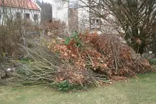 Vorher0219.webp