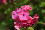 DSC01122.JPG