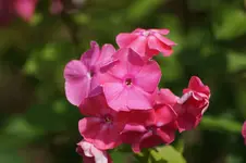 DSC01122.webp