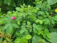 20210727_142301.webp