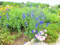 DSCF4917 (2).webp