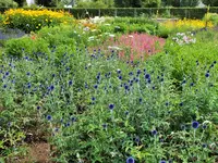 DSCF4914 (2).webp