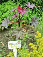 DSCF4922 (2).webp