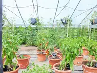 DSCF4911 (2).webp