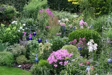 IMG_0465.webp
