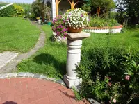 DSC01956.webp