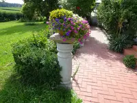 DSC01957.webp
