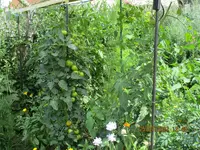 IMG_0513.webp