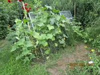 IMG_0536.webp