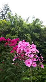 20210728_171640.webp