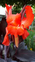 20210727_175131.webp
