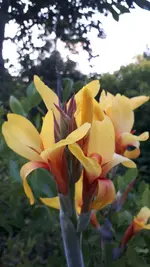 20210728_203744.webp