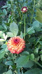 20210728_191028.jpg