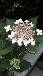20210728_171522.webp