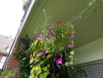 P1040824Winde.JPG