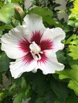 D2852765-908C-45FD-8CB3-345C51457A33.jpeg
