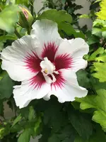 D2852765-908C-45FD-8CB3-345C51457A33.webp