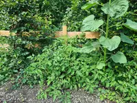 20210729_121042.webp