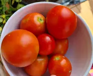 20210729_145001.webp