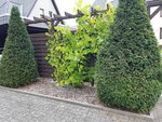 20210729_160446.jpg
