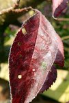 DSCN3471.JPG