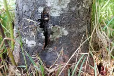 DSCN3472.webp